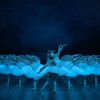 The Best Things To Do In NYC This Week: From Grand Swan Lake To The Lunar New Year